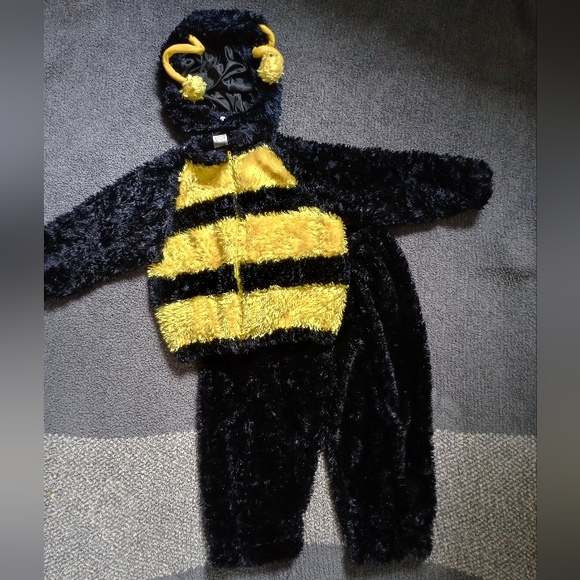 Other - Bee costume